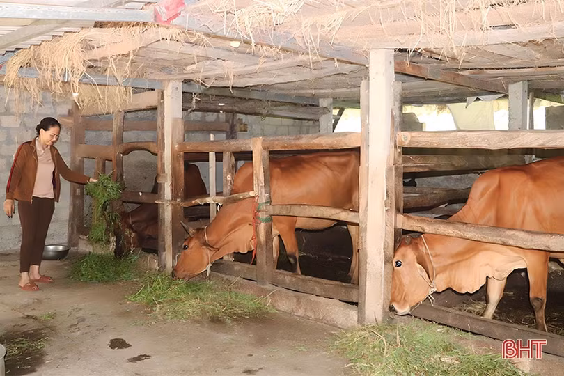 Nữ thuyền trưởng” đưa vùng quê nghèo đến khu dân cư mẫu