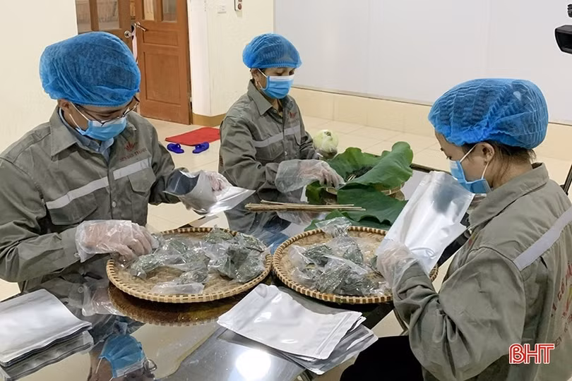 Trà sen Hào Thành - hương vị của đất Thành Sen