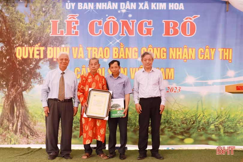 Đón bằng công nhận Cây Di sản Việt Nam cho cây thị ở Hương Sơn