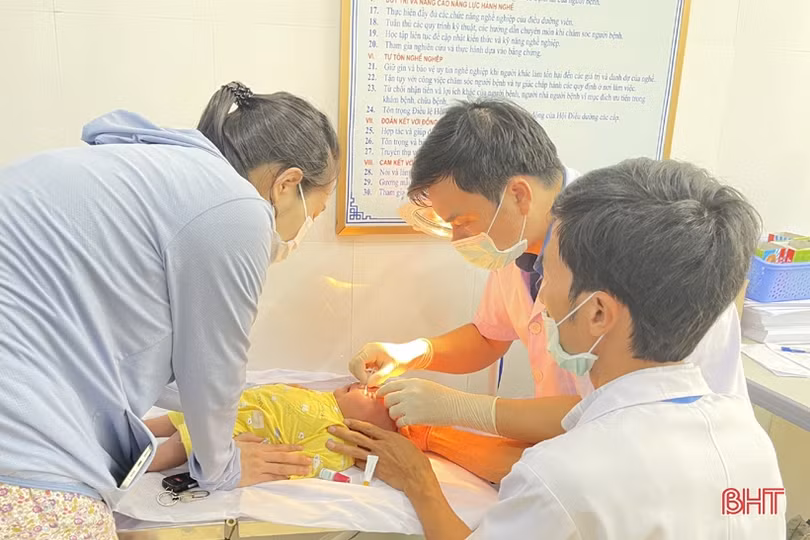 Bác sỹ khuyến cáo không dùng lá cây để chữa đau mắt đỏ