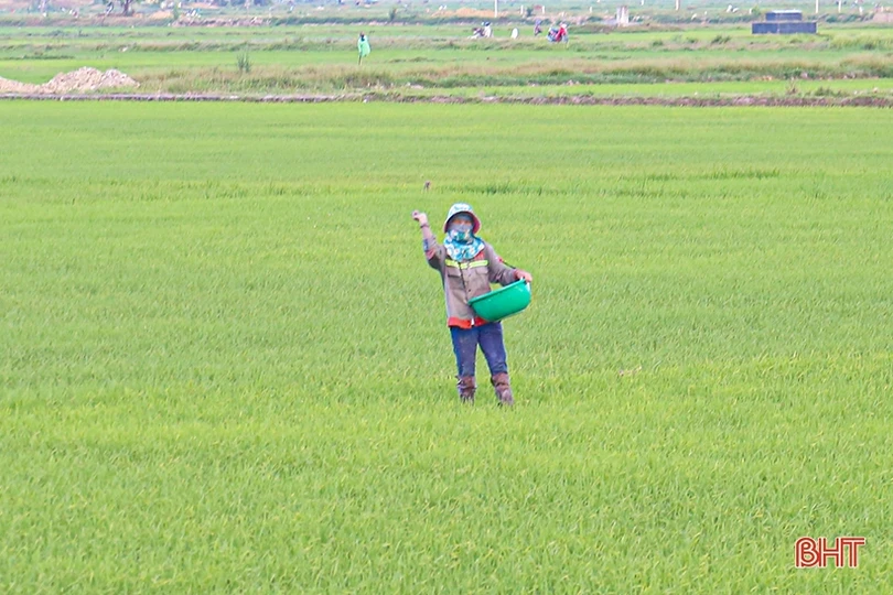 Giá phân bón giảm sâu: Nông dân mừng, cơ sở kinh doanh lo!