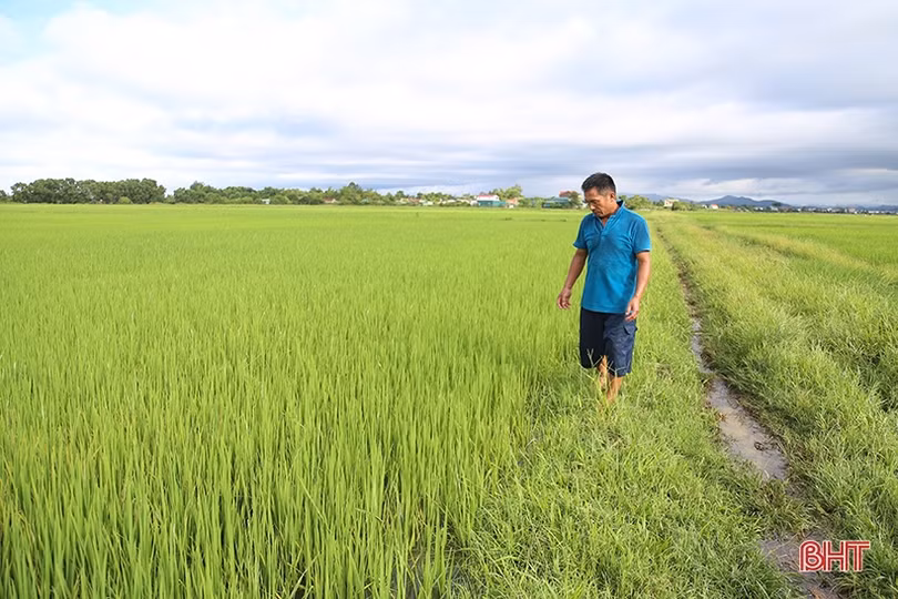 Ruộng đồng Hà Tĩnh được “giải khát”