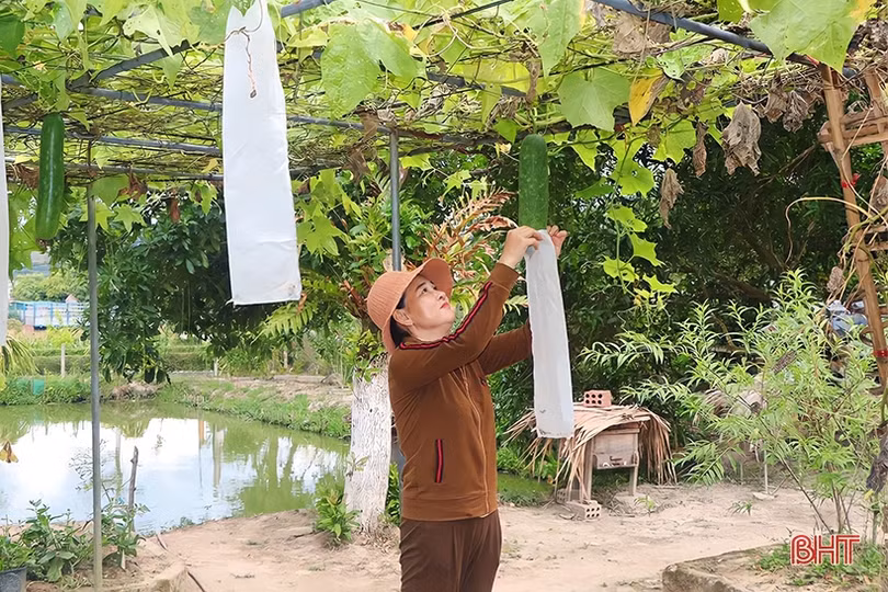 Nữ thuyền trưởng” đưa vùng quê nghèo đến khu dân cư mẫu