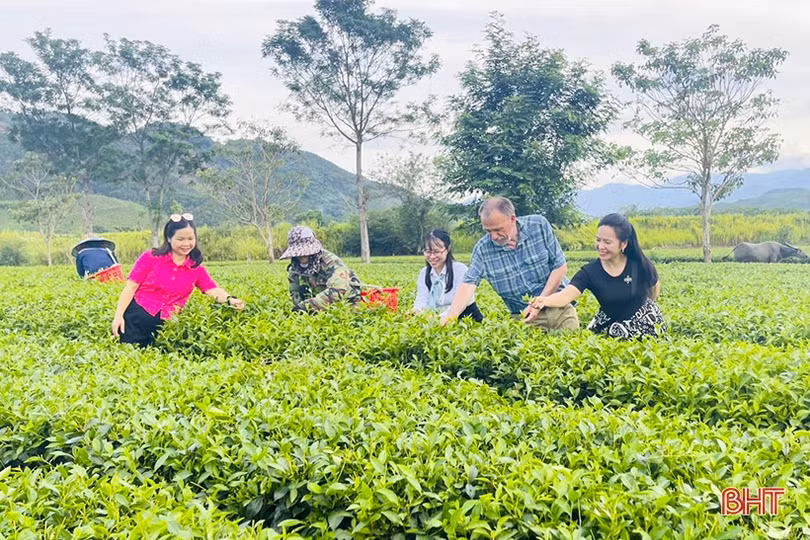 Ngân hàng Phát triển châu Á xem xét đầu tư phát triển du lịch bền vững tại Hà Tĩnh