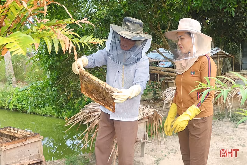 Nữ thuyền trưởng” đưa vùng quê nghèo đến khu dân cư mẫu