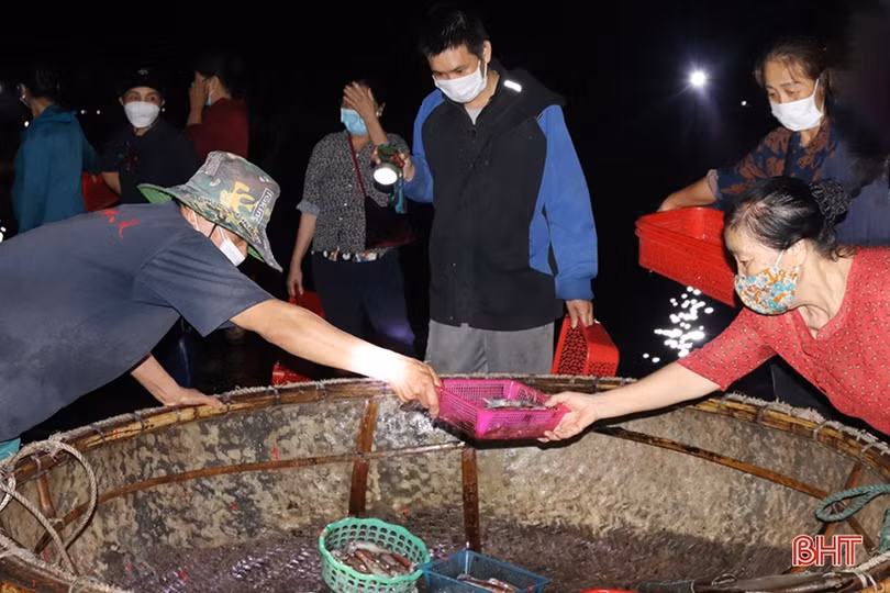 Nuôi mực “nhảy” trong bể cho lợi nhuận cao ở Cẩm Xuyên