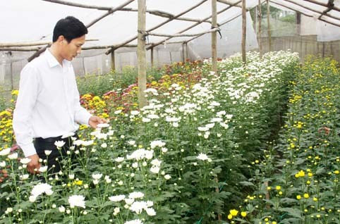 Mô hình trồng hoa trong nhà lưới của nông dân Bắc Sơn (Thạch Hà) cho hiệu quả kinh tế cao. Ảnh: Bá Tân Mô hình trồng hoa trong nhà lưới của nông dân Bắc Sơn (Thạch Hà) cho hiệu quả kinh tế cao. Ảnh: Bá Tân