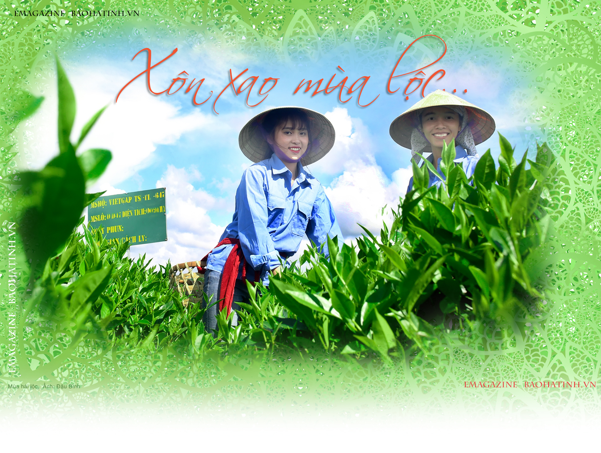 Hà Tĩnh - xôn xao mùa lộc…