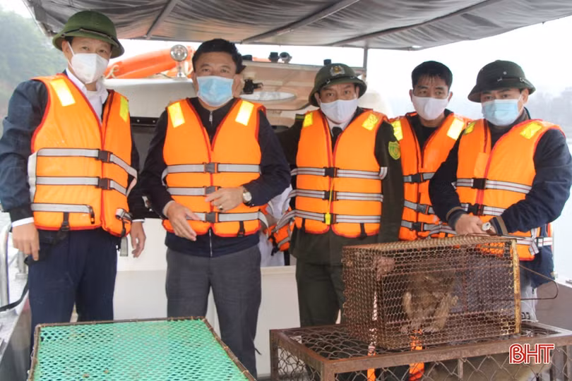 Thả 46 cá thể động vật quý hiếm về rừng ở Hà Tĩnh