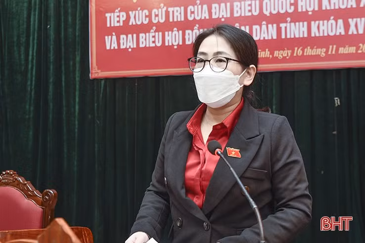 Cử tri Hà Tĩnh kiến nghị cơ chế đặc thù để xây dựng nông thôn mới, đô thị văn minh và thu hút đầu tư