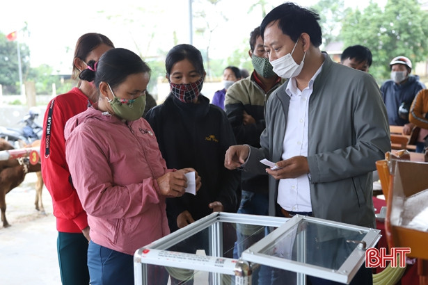 Trao 60 con bò giống cho người dân Hà Tĩnh