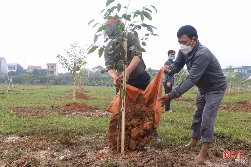 Đồng loạt ra quân trồng cây ở TP Hà Tĩnh
