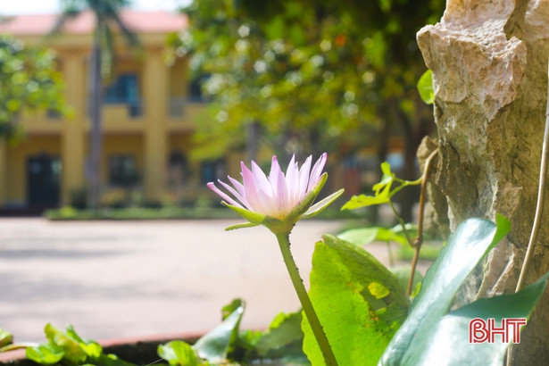 11 tác phẩm đạt giải cuộc thi chụp ảnh “Góc nhìn trẻ thơ” ở Nghi Xuân