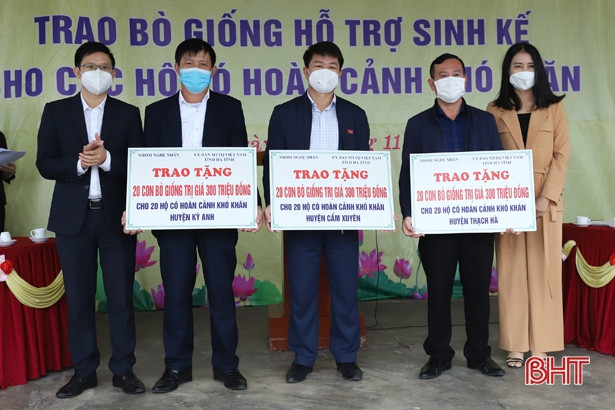 Trao 60 con bò giống cho người dân Hà Tĩnh