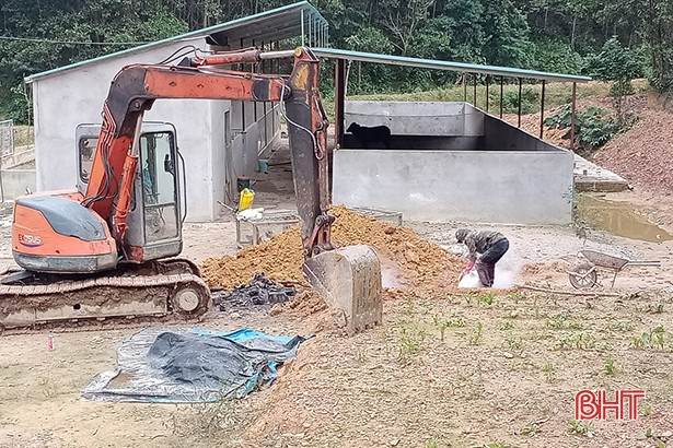 Hương Sơn phát sinh thêm 2 ổ dịch tả lợn châu Phi