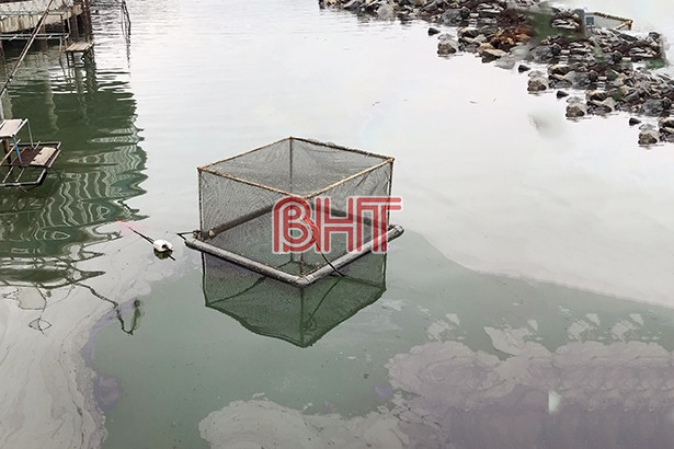 Hiện tượng dầu tràn tại khu vực bờ biển Kỳ Lợi do sự cố từ tàu nhập dầu