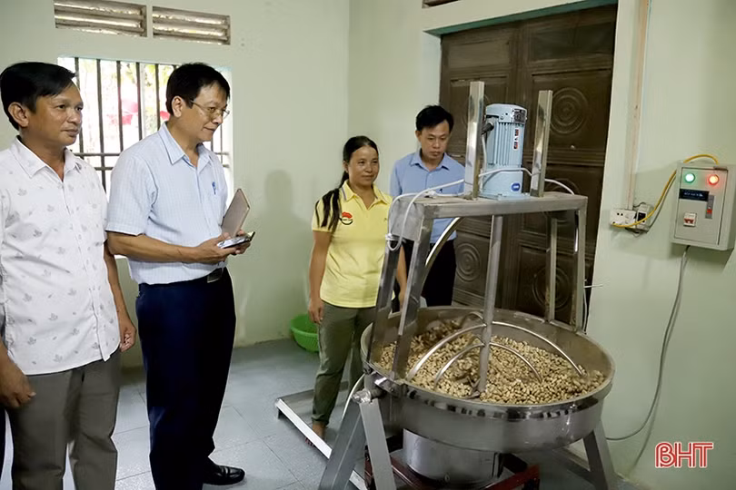 Đánh giá phân hạng sản phẩm OCOP Hà Tĩnh