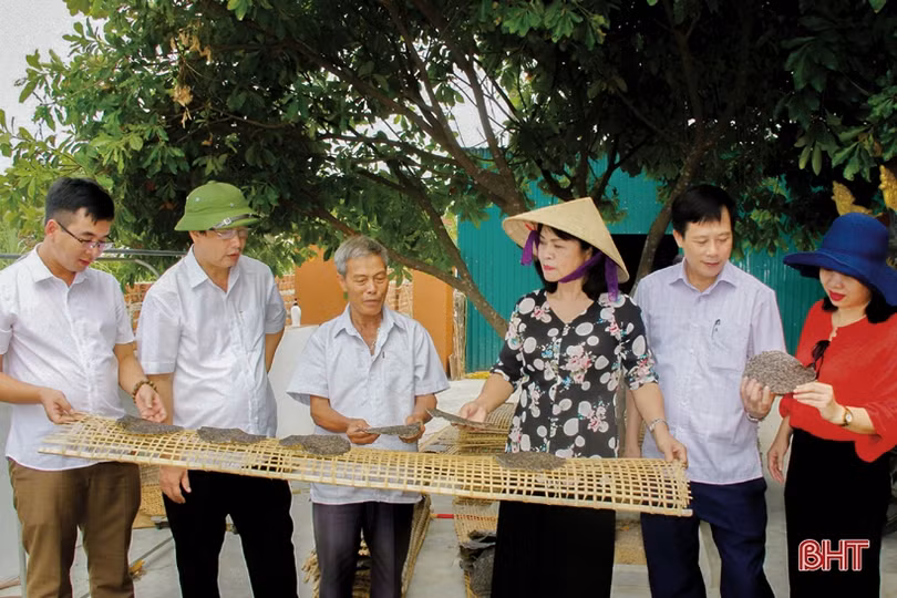 OCOP đánh thức khát vọng sản xuất sản phẩm chất lượng cao của nông dân Kỳ Anh