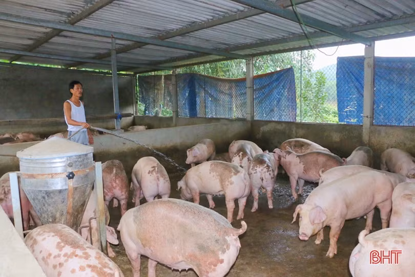 Xã “quán quân” xây dựng nông thôn mới nâng cao ở huyện miền núi Hà Tĩnh