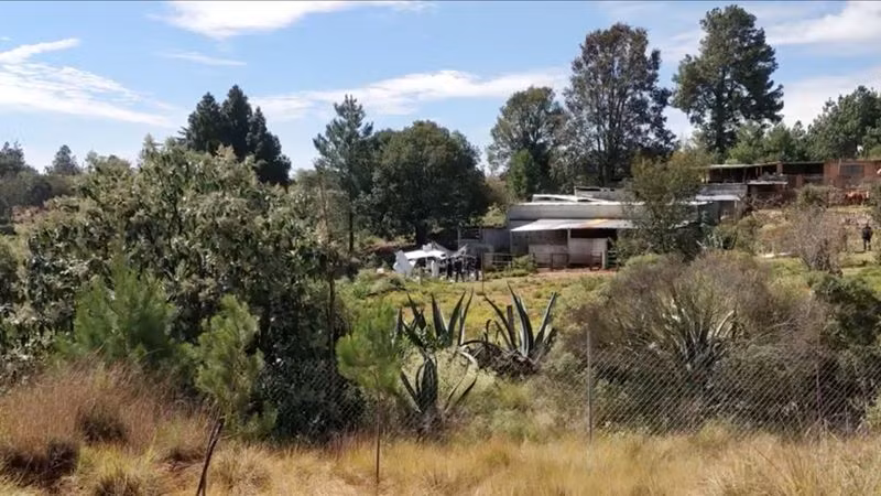 Máy bay chở 400 kg cocaine rơi ở Mexico sau cuộc rượt đuổi