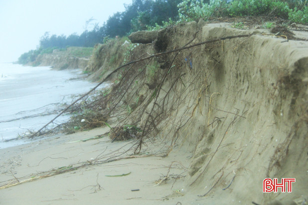 Mưa lớn gây sạt lở, uy hiếp đê biển Nghi Xuân