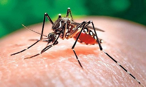 Lào ghi nhận gần 7.000 ca mắc sốt xuất huyết từ đầu năm đến nay