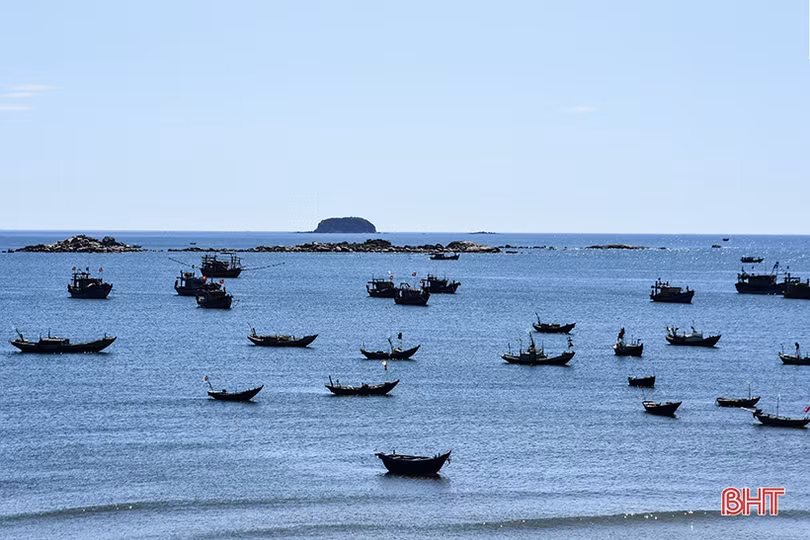 Cho “đàn trời” ở Hà Tĩnh vang xa...