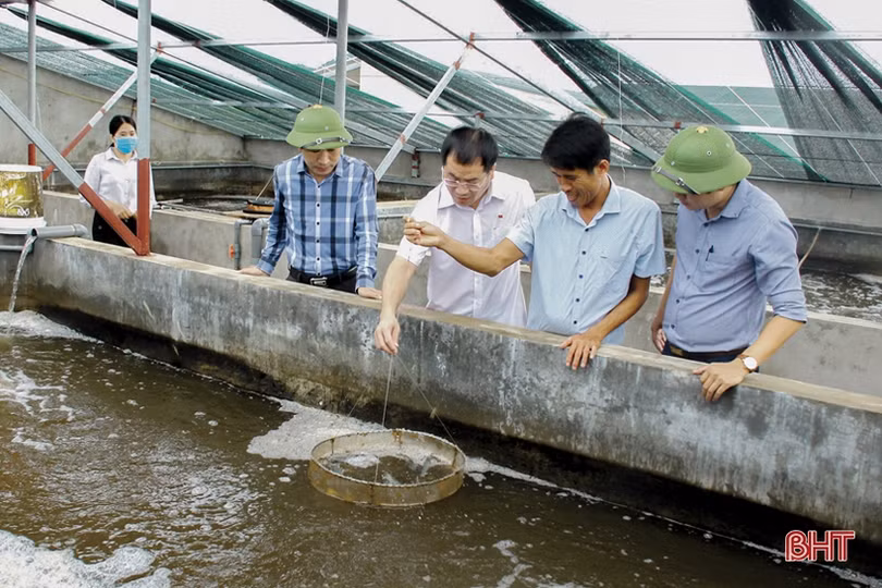 Điểm tựa để Lộc Hà bứt phá...