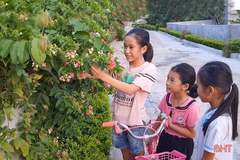 Thăm khu dân cư xanh” nơi vùng biển ngang Kỳ Anh