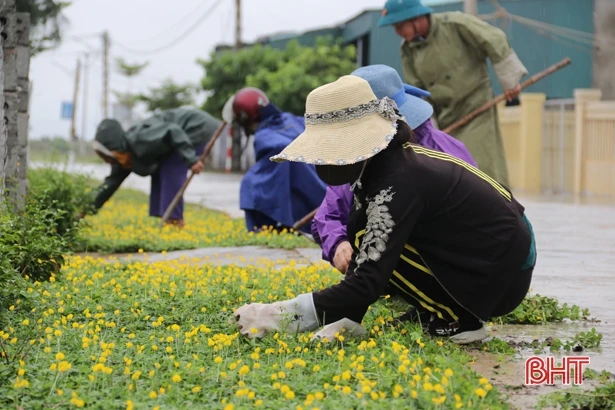 Bám sát nghị quyết, TX Kỳ Anh tích cực triển khai xây dựng NTM, đô thị văn minh