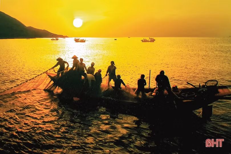 OCOP đánh thức khát vọng sản xuất sản phẩm chất lượng cao của nông dân Kỳ Anh