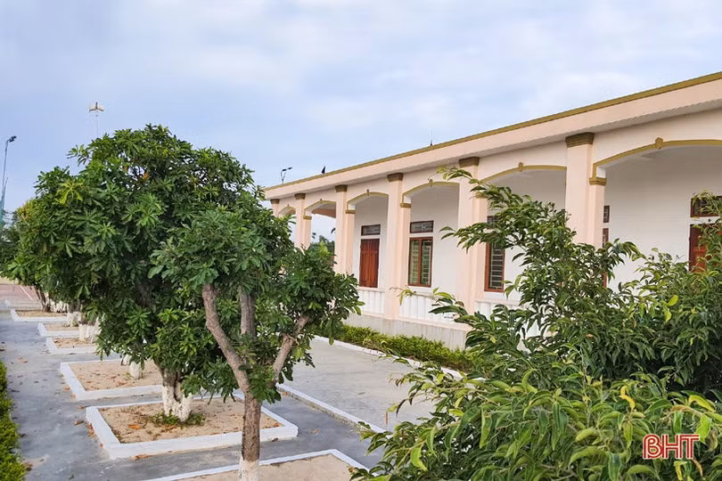 Thăm khu dân cư xanh” nơi vùng biển ngang Kỳ Anh