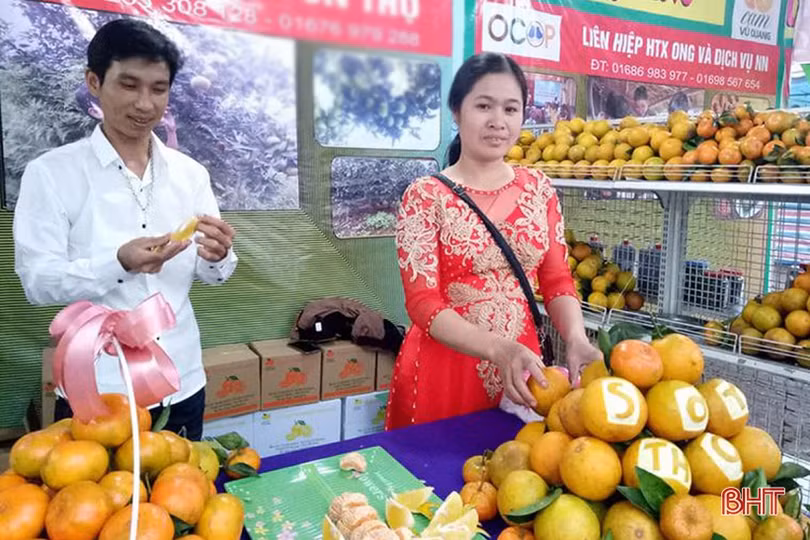 Đưa cam Vũ Quang “phủ sóng” toàn quốc