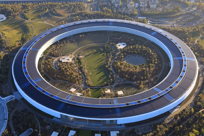 Những đóa hoa của vũ trụ