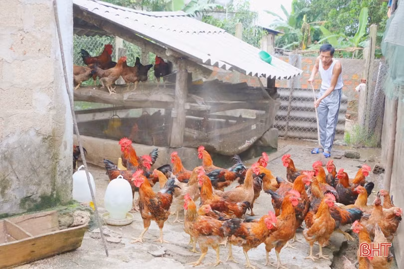 Xã “quán quân” xây dựng nông thôn mới nâng cao ở huyện miền núi Hà Tĩnh