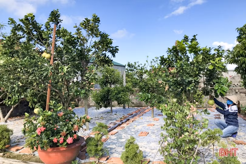 Thăm khu dân cư xanh” nơi vùng biển ngang Kỳ Anh