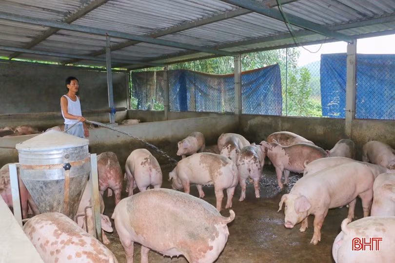 Vũ Quang bám sát nghị quyết, linh hoạt thực hiện “mục tiêu kép”