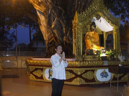 Bên gốc cây bồ đề hơn 2.500 năm tuổi ở chùa Shwedagon.