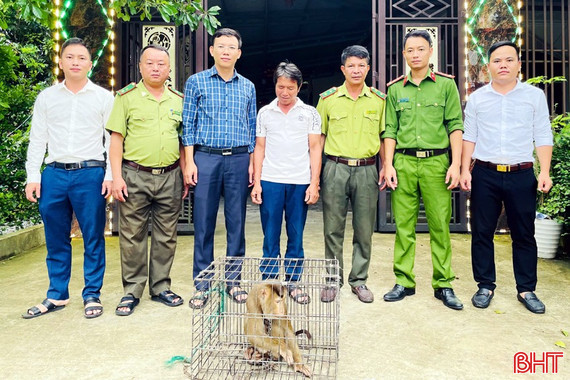 Bàn giao khỉ đuôi lợn cho Vườn Quốc gia Vũ Quang