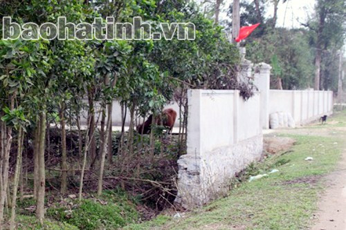 Một phần tường rào hộ gia đình ông Tuấn xây dựng kiên cố lấn ra hành lang lề đường tới 4,5m