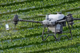 Giấy phép điều khiển phương tiện bay hạng B mở ra cơ hội nghề nghiệp lĩnh vực UAV