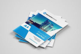 In Hoa Hồng: Giải pháp tối ưu hóa trải nghiệm khách hàng thông qua in catalogue giá rẻ và in túi giấy