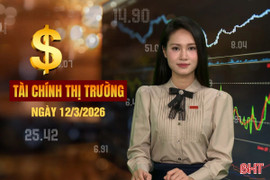 Tài chính thị trường ngày 12/3: Mua bán nhà đất có gì thay đổi khi có mã định danh?