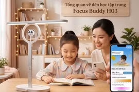 TOMKO hướng dẫn lựa chọn màn hình trình chiếu và thiết bị thông minh phù hợp cho từng nhu cầu