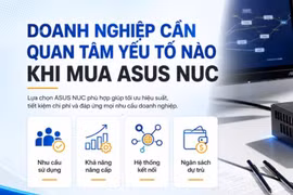 Nên chọn ASUS NUC nào? Giải pháp mini PC linh hoạt cho từng nhu cầu sử dụng