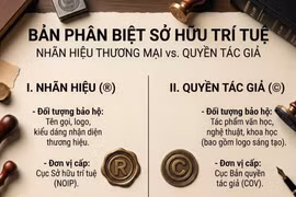 Doanh nghiệp có thể đăng ký bản quyền logo công ty ở đâu?