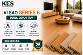 Sàn gỗ công nghiệp Series 6: Dòng cốt xanh HDF chống ẩm đáng đầu tư 2026