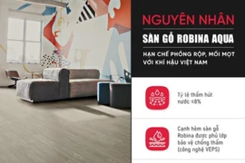 Làm sao để sàn gỗ không bị phồng rộp, mối mọt ở khí hậu Việt Nam?