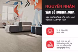 Làm sao để sàn gỗ không bị phồng rộp, mối mọt ở khí hậu Việt Nam?