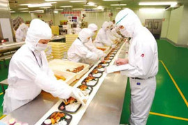 Nên đi xuất khẩu lao động Nhật Bản hay Đài Loan?